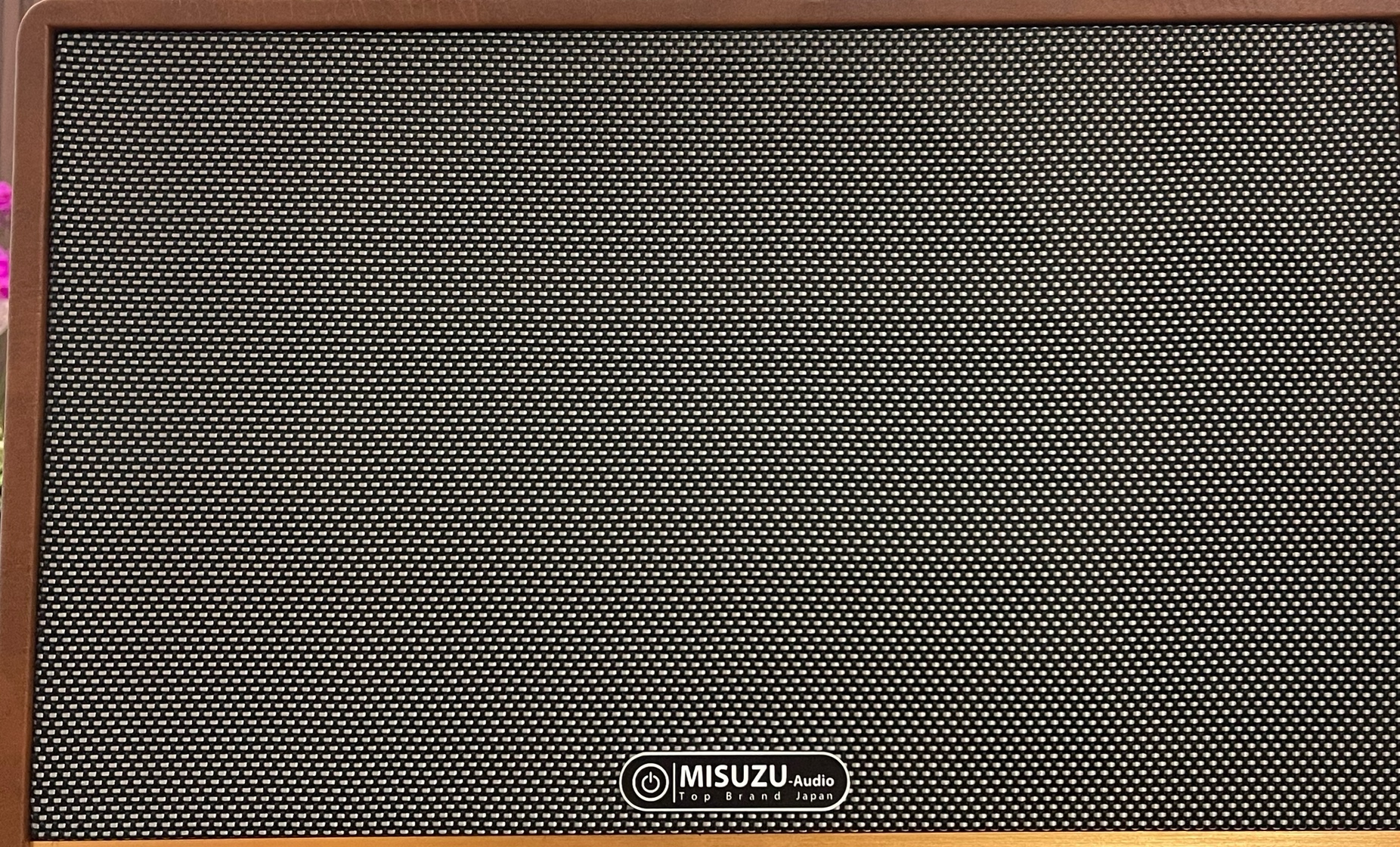 Loa xách tay MS-125